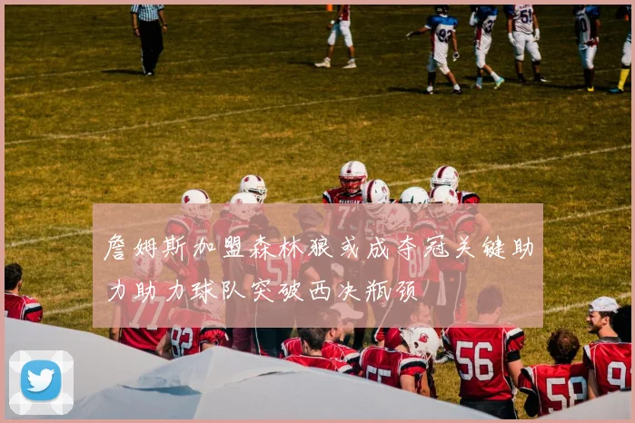 詹姆斯加盟森林狼或成夺冠关键助力助力球队突破西决瓶颈